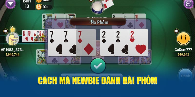 Cách mà newbie đánh bài Phỏm